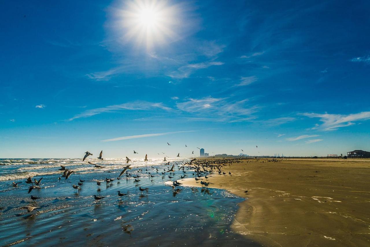 Blue Skies Ahead Quick Walk Into Town And Beach Galveston Exterior foto