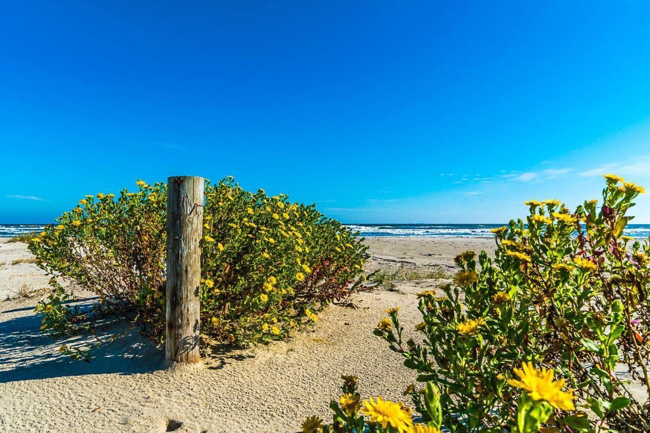 Blue Skies Ahead Quick Walk Into Town And Beach Galveston Exterior foto